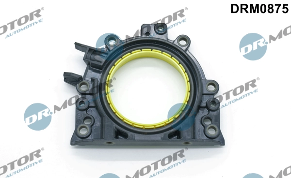 LIZARTE DRM0875