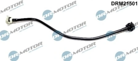 LIZARTE DRM21501