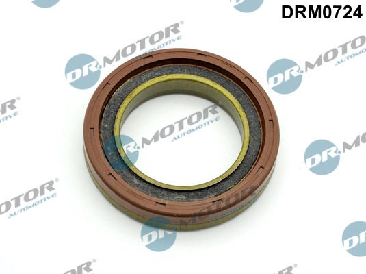 LIZARTE DRM0724