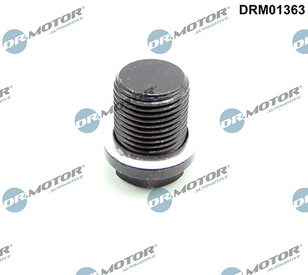 LIZARTE DRM01363