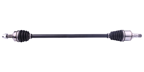 LIZARTE DS0507
