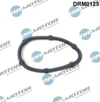 LIZARTE DRM0125
