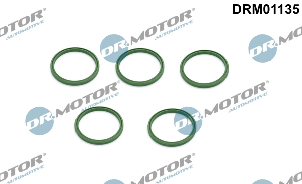 LIZARTE DRM01135