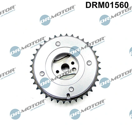 LIZARTE DRM01560