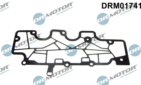 LIZARTE DRM01741