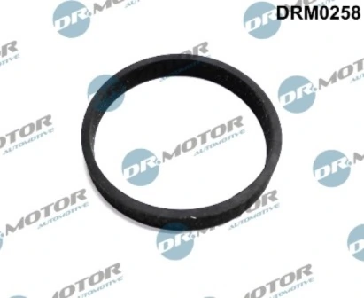 LIZARTE DRM0258