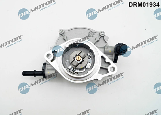 LIZARTE DRM01934