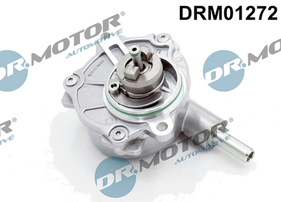 LIZARTE DRM01272