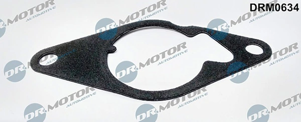 LIZARTE DRM0634