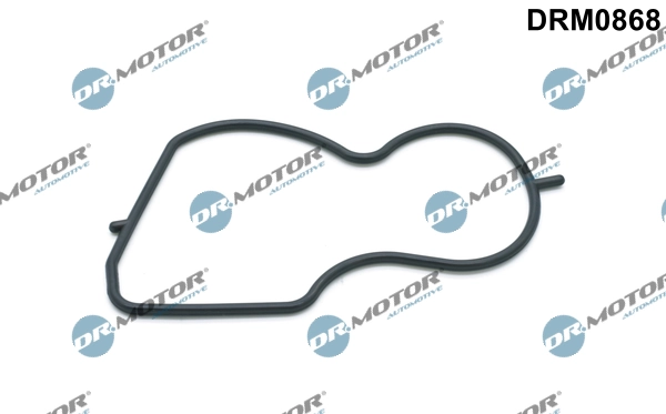 LIZARTE DRM0868