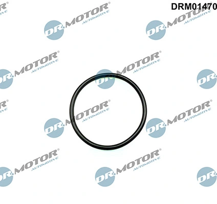 LIZARTE DRM01470