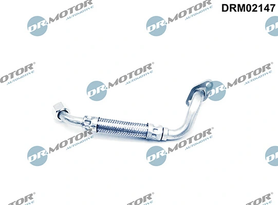 LIZARTE DRM02147