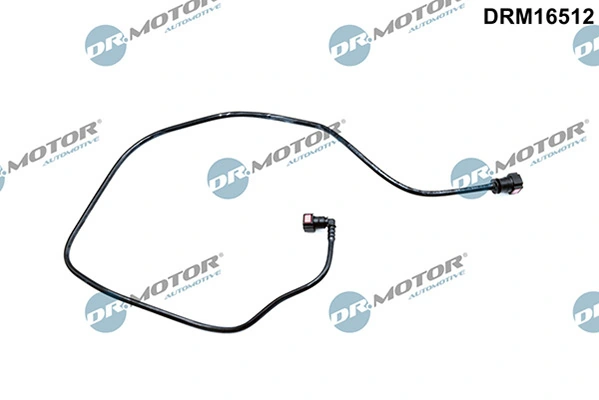 LIZARTE DRM16512