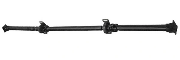 LIZARTE PS0003