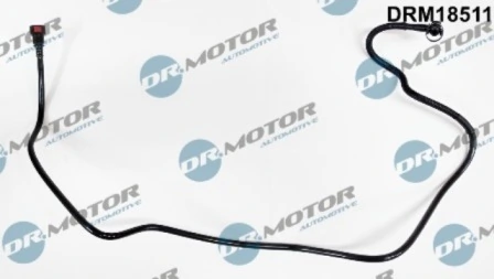 LIZARTE DRM18511