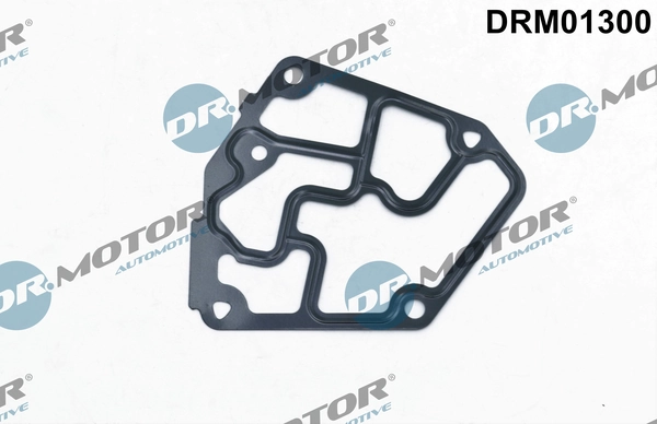 LIZARTE DRM01300