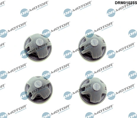 LIZARTE DRM01023S