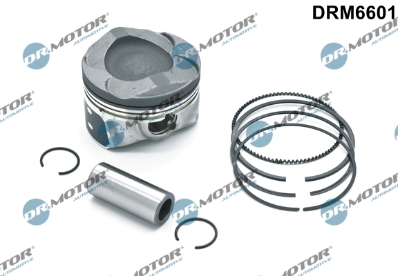 LIZARTE DRM6601