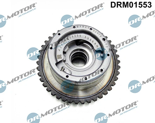 LIZARTE DRM01553