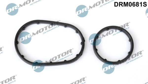 LIZARTE DRM0681S