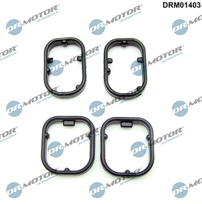 LIZARTE DRM01403