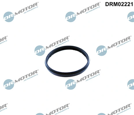 LIZARTE DRM02221