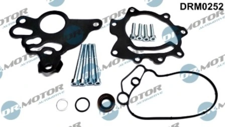 LIZARTE DRM0252