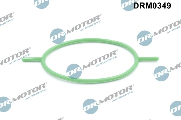 LIZARTE DRM0349