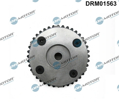 LIZARTE DRM01563