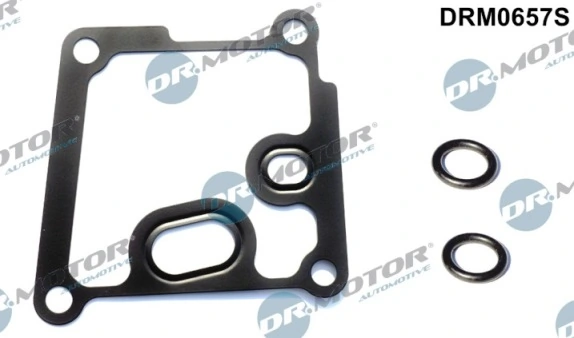 LIZARTE DRM0657S