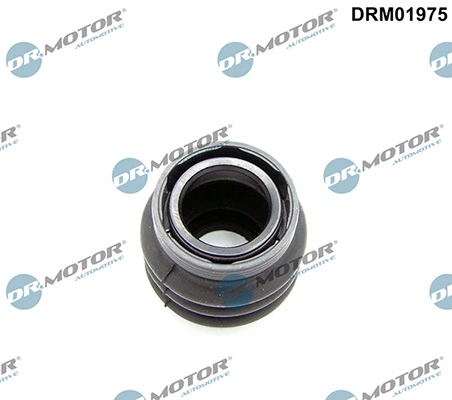 LIZARTE DRM01975