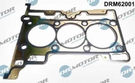LIZARTE DRM62001