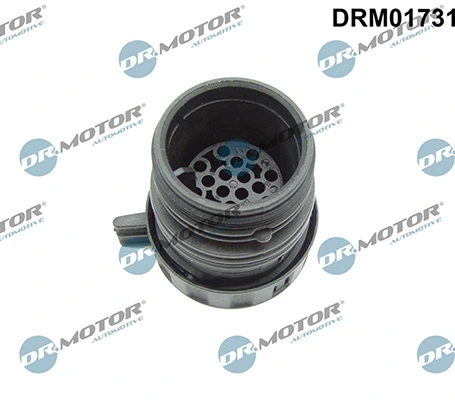 LIZARTE DRM01731