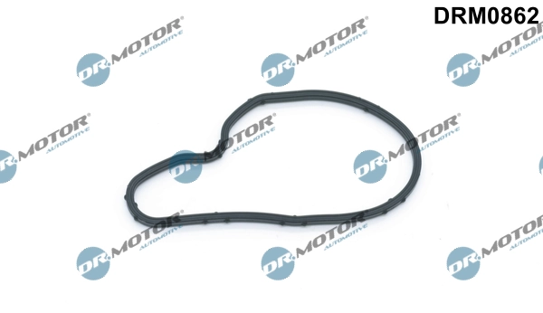 LIZARTE DRM0862