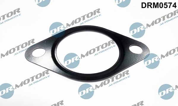 LIZARTE DRM0574