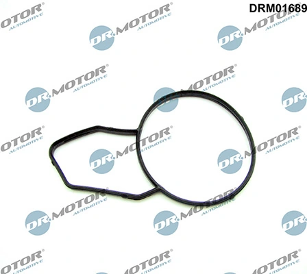 LIZARTE DRM01689