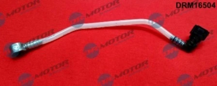 LIZARTE DRM16504