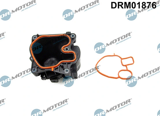 LIZARTE DRM01876