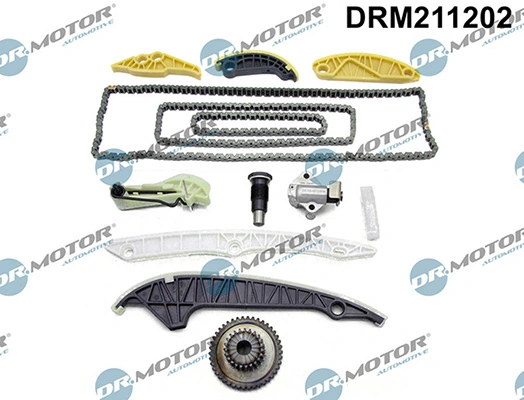 LIZARTE DRM211202