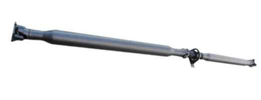 LIZARTE PS0064