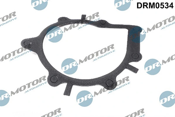 LIZARTE DRM0534