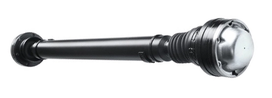 LIZARTE PS0032