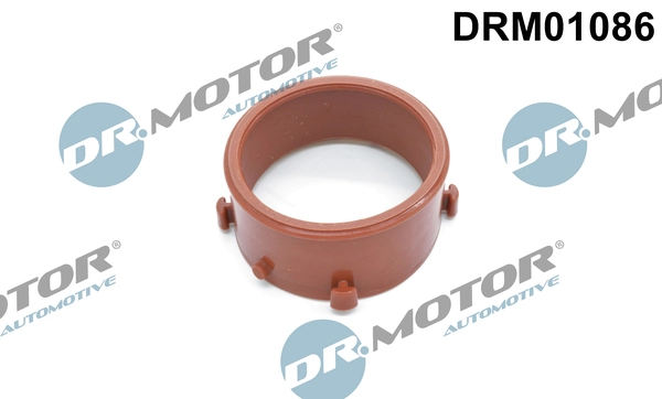 LIZARTE DRM01086