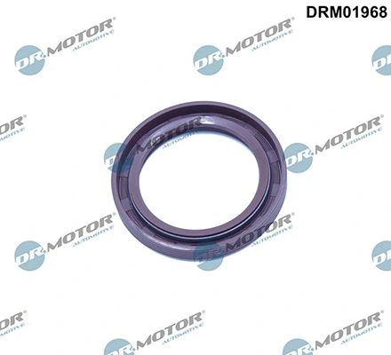LIZARTE DRM01968