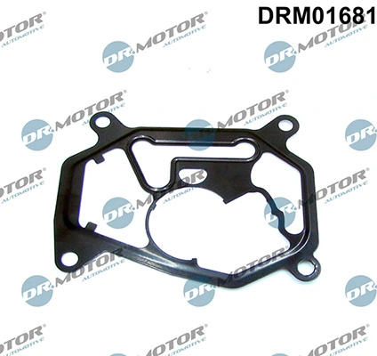 LIZARTE DRM01681