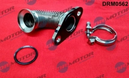 LIZARTE DRM0562