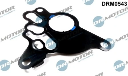 LIZARTE DRM0543