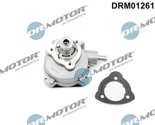 LIZARTE DRM01261
