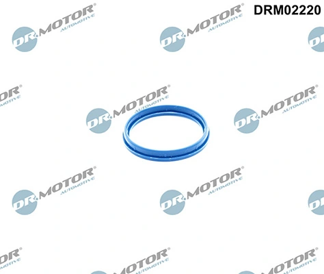 LIZARTE DRM02220