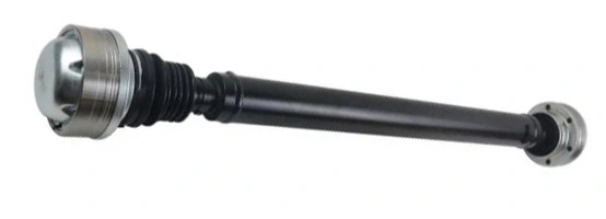 LIZARTE PS0019